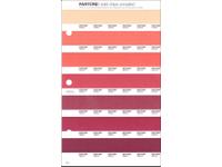 PANTONE PMS SOLID CHIPS ERSATZSEITE 45U