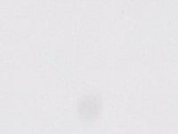 ARA ACRYLFARBE 1000ML 001 TITAN WHITE