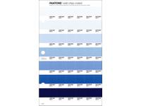 PANTONE PMS SOLID CHIPS ERSATZSEITE 118C