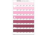 PANTONE PMS SOLID CHIPS ERSATZSEITE 66U