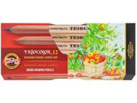 KOH-I-NOOR TRIOCOLOR DREIECKIGE FARBSTIFTE 12-ER