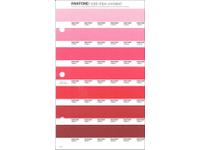 PANTONE PMS SOLID CHIPS ERSATZSEITE 41U
