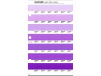 PANTONE PMS SOLID CHIPS ERSATZSEITE 91C