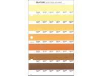 PANTONE PMS SOLID CHIPS ERSATZSEITE 14U