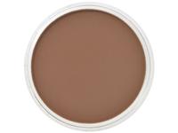 PANPASTEL 9ML BURNT SIENNA SHADE 740.3