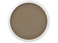 PANPASTEL 9ML RAW UMBER 780.5