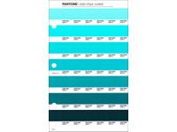 PANTONE PMS SOLID CHIPS ERSATZSEITE 167C