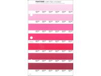 PANTONE PMS SOLID CHIPS ERSATZSEITE 49U