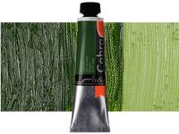 COBRA ARTIST WASSERVERMALBARE ÖLFARBE 40ML 623 SAFTGRÜN