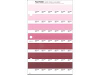 PANTONE PMS SOLID CHIPS ERSATZSEITE 69U