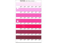 PANTONE PMS SOLID CHIPS ERSATZSEITE 54U