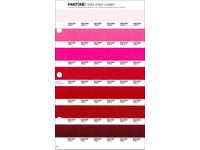 PANTONE PMS SOLID CHIPS ERSATZSEITE 55C