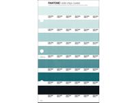 PANTONE PMS SOLID CHIPS ERSATZSEITE 173C