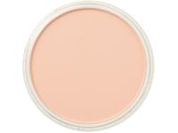 PANPASTEL 9ML RED IRON OXIDE TINT 380.8