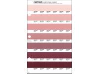 PANTONE PMS SOLID CHIPS ERSATZSEITE 35C