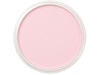 PANPASTEL 9ML PERMANENT RED TINT 340.8