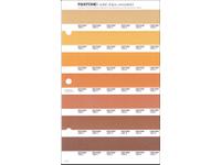 PANTONE PMS SOLID CHIPS ERSATZSEITE 17U