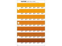 PANTONE PMS SOLID CHIPS ERSATZSEITE 18C