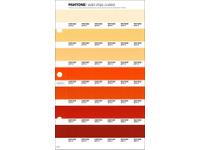 PANTONE PMS SOLID CHIPS ERSATZSEITE 20C