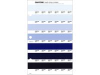 PANTONE PMS SOLID CHIPS ERSATZSEITE 110C