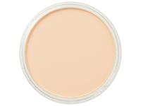 PANPASTEL 9ML ORANGE TINT 280.8