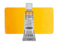 SCHMINCKE HORADAM AQUARELL TUBE 5ML S2 220 INDISCHGELB