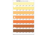 PANTONE PMS SOLID CHIPS ERSATZSEITE 22U