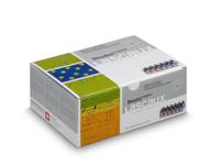 LASCAUX STUDIO ACRYL SET 30ML 12X