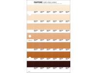 PANTONE PMS SOLID CHIPS ERSATZSEITE 231C