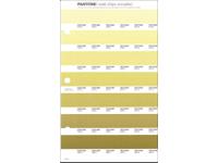 PANTONE PMS SOLID CHIPS ERSATZSEITE 216U