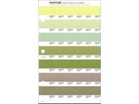 PANTONE PMS SOLID CHIPS ERSATZSEITE 205U