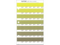 PANTONE PMS SOLID CHIPS ERSATZSEITE 207U