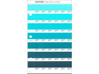PANTONE PMS SOLID CHIPS ERSATZSEITE 165U