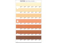 PANTONE PMS SOLID CHIPS ERSATZSEITE 227U