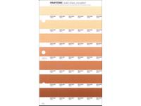 PANTONE PMS SOLID CHIPS ERSATZSEITE 226U
