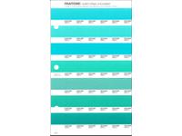 PANTONE PMS SOLID CHIPS ERSATZSEITE 166U