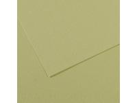 MI-TEINTES 50X65CM 160GR. 480 HELLGRâ”ŒN
