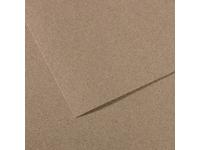 MI-TEINTES 50X65CM 160GR. 431 GRAUMELIERT