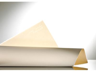 ARCHES TIEFDRUCKPAPIER BLATT 56X76CM 250GRAMM 2