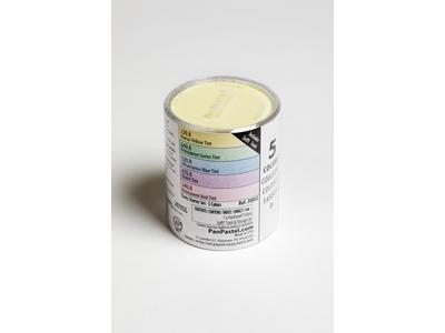 PANPASTEL SET TINTS 5X 2