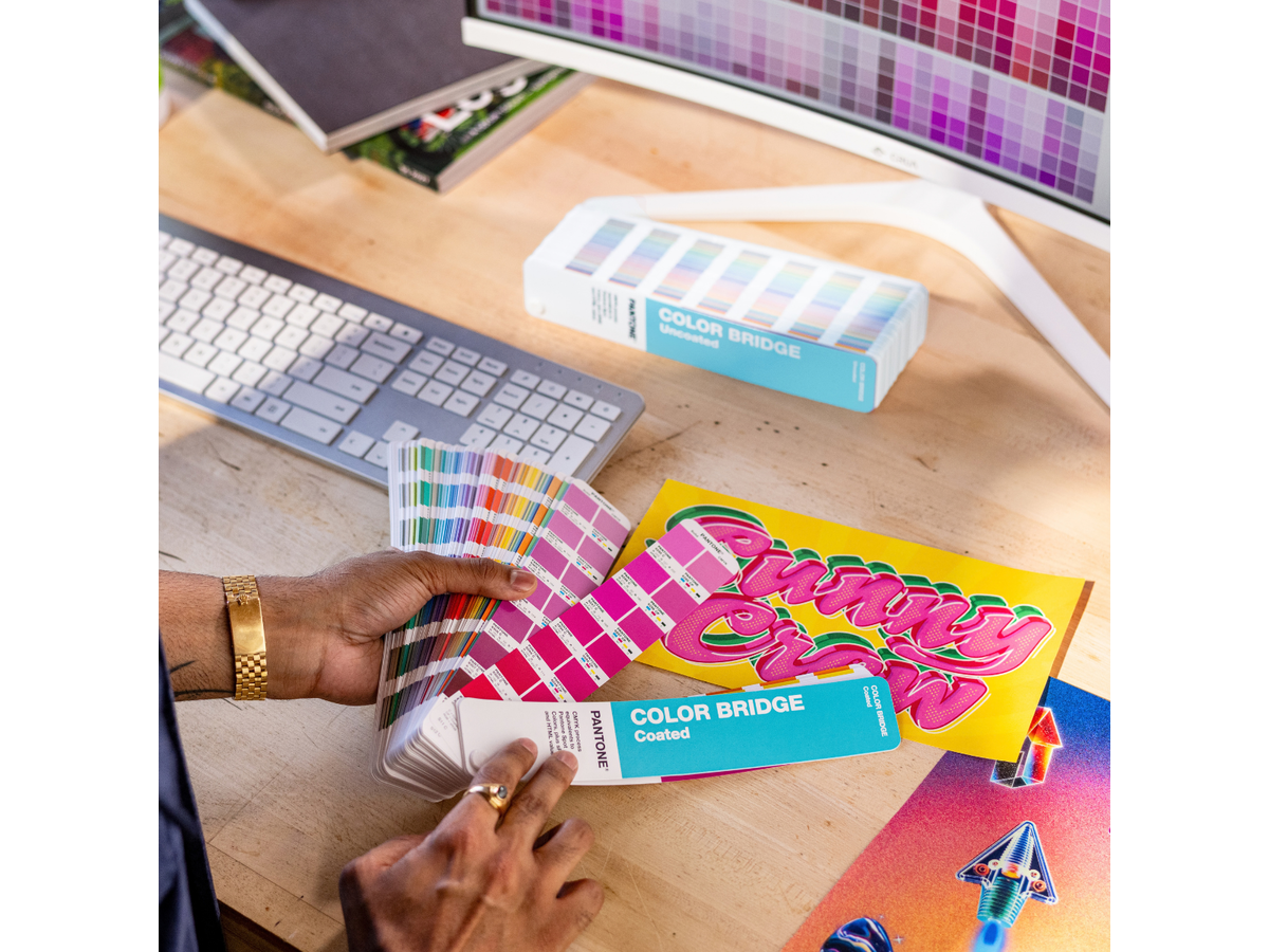 PANTONE COLOR BRIDGE GUIDE COATED & UNCOATED GP6102C 2