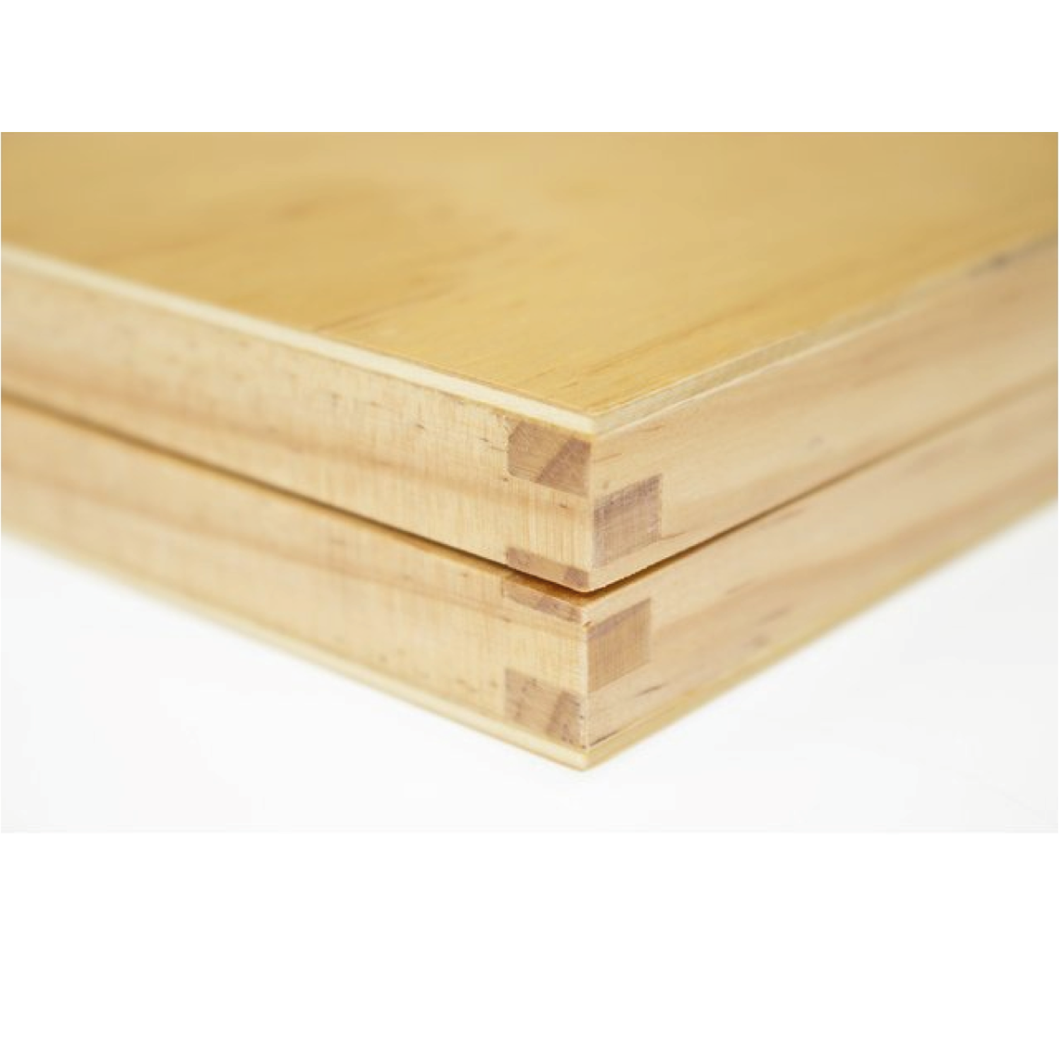VAN BEEK HOLZSTIFTEBOX 280X200X30MM 4