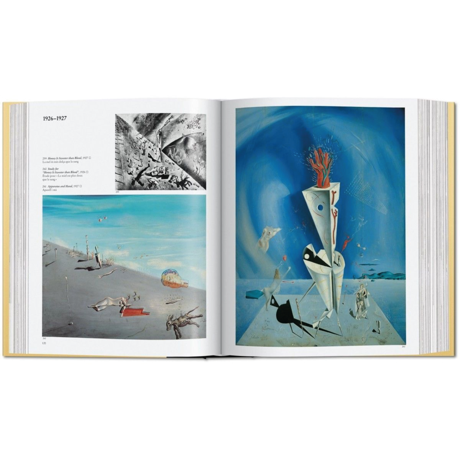 DALI THE PAINTINGS (ENGLISCH) 2
