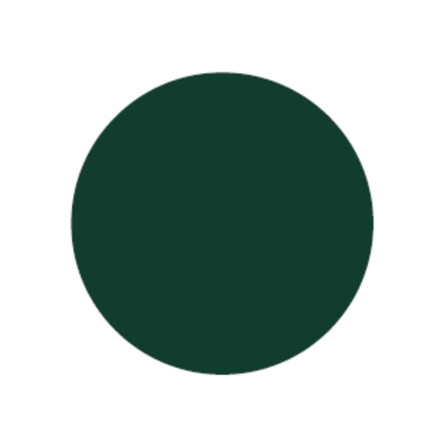 GHIANT EXPERT ACRYL 300 ML BRUNSWIK GREEN 312 2