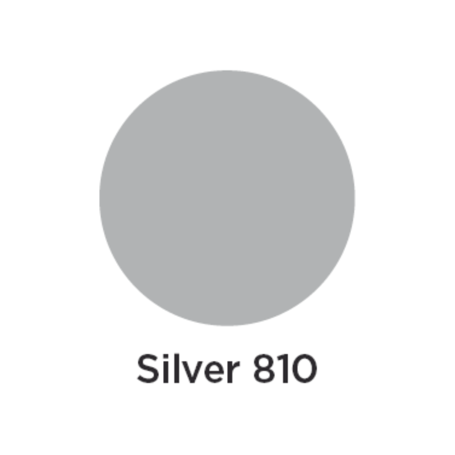 GHIANT EXPERT ACRYL 300 ML SILVER 810 3