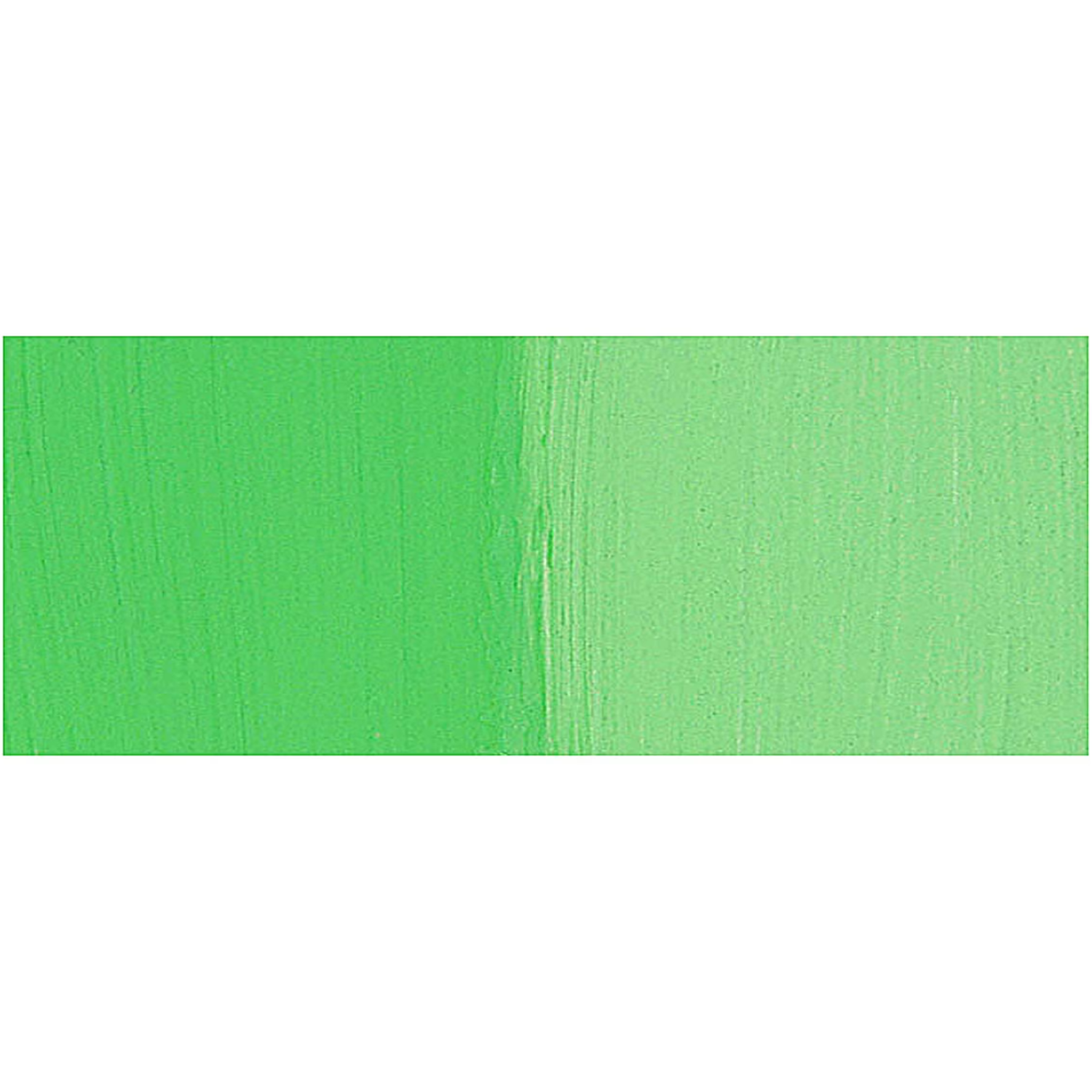 HOLBEIN ARTISTS' GOUACHE 15ML PERMANENT GREEN LIGHT G541 2